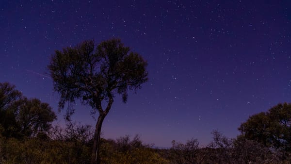 Noche estrellada en Sierra de las Quijadas